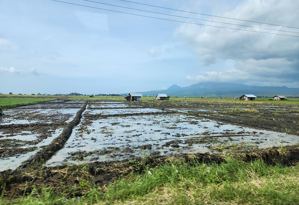 The evidence of heavy rains on farm fields on the Indonesian island of Flores (GSR photo/Chris Herlinger)