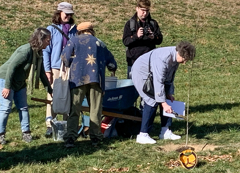 Sisters of Divine Providence work with EcoVillage members to plant a white oak tree on their property near Pittsburgh. (Courtesy of Stefani Danes)