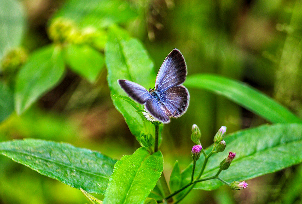 Guwahati, Assam, India (Unsplash/Bhargav Keot)