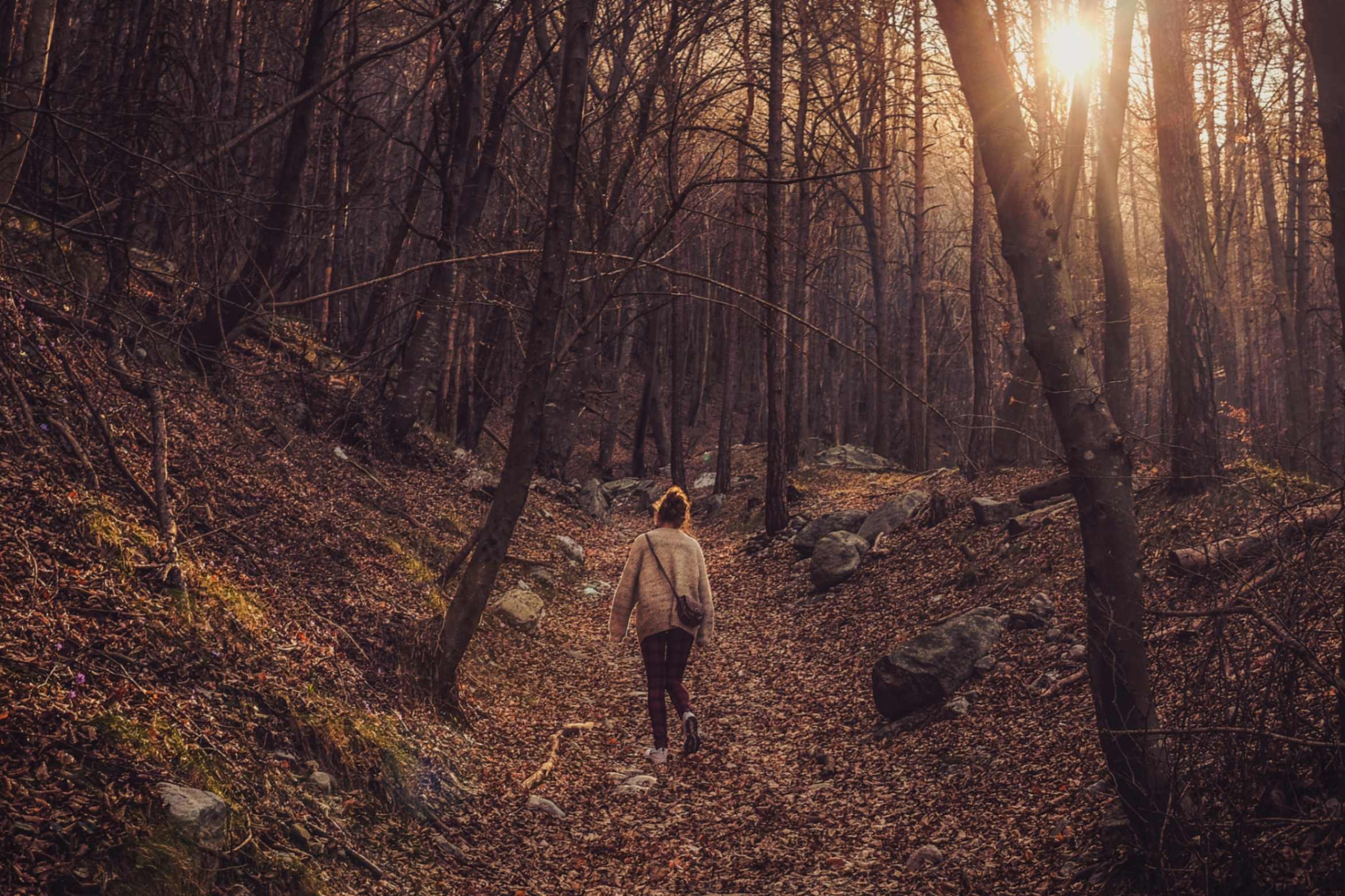 El camino hacia la luz, paso a paso. La Hna. María Guadalupe Alfaro describe su proceso pascual como un renacer sostenido: no un evento extraordinario, sino una pedagogía de Dios que conduce desde el agotamiento hacia la vida nueva. (Foto: Unsplash/ Cristina Gottardi)