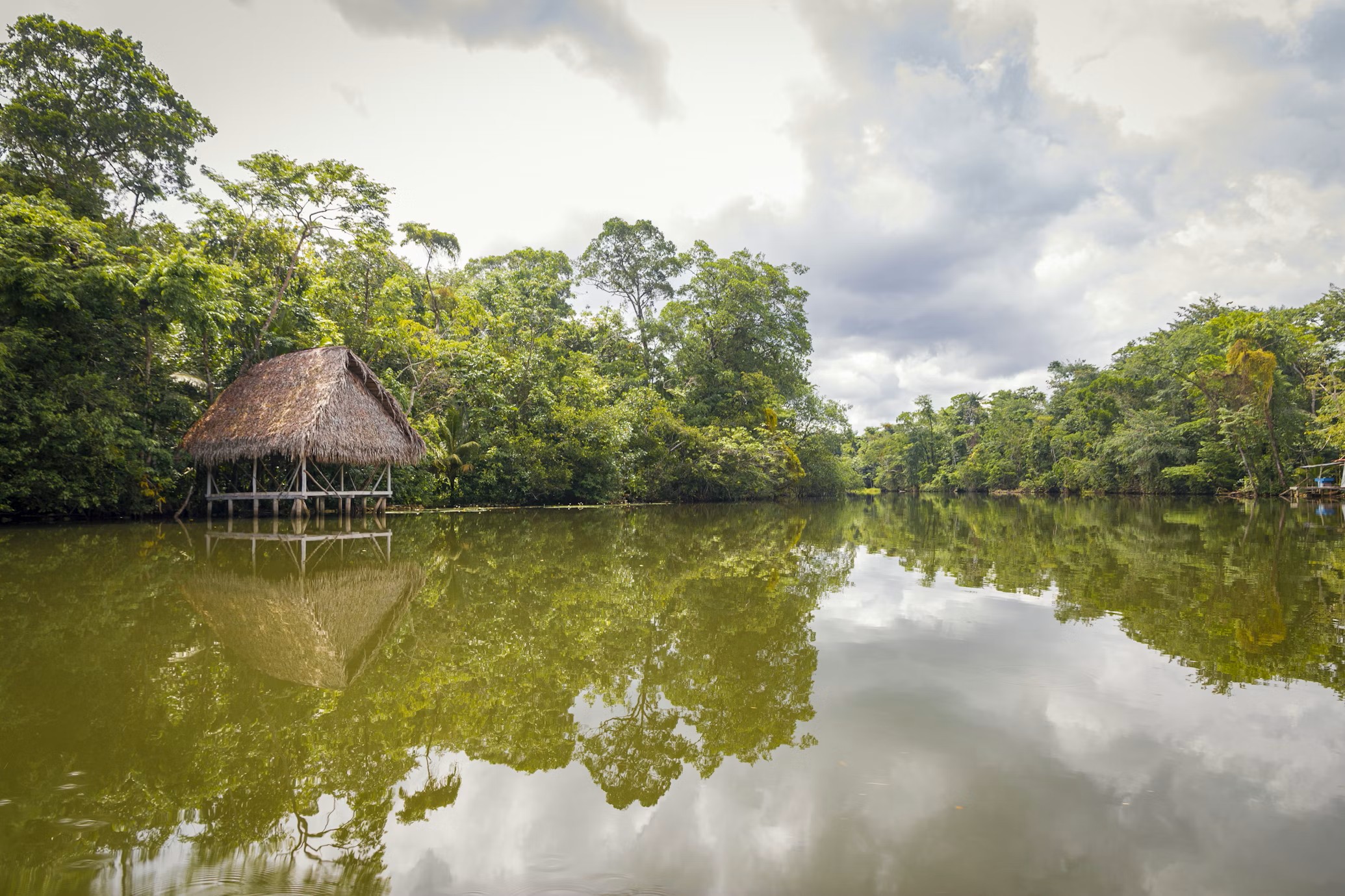 Una orilla amazónica, imagen de los territorios donde comunidades indígenas resisten y renacen. Para la Hna. María Eugenia Lloris, la Resurrección se hace visible cada día en la lucha de estos pueblos por seguir viviendo. (Foto: Unsplash/Isaac Quesada)