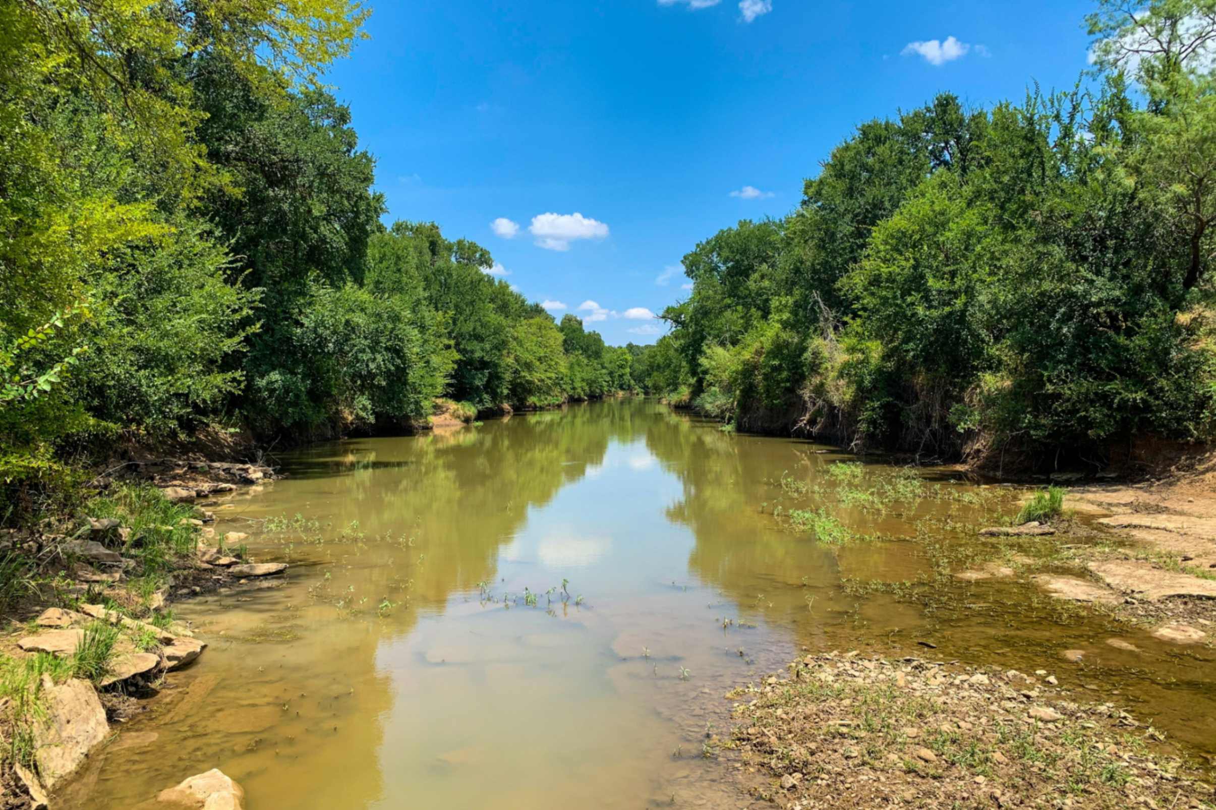 Un río rodeado de árboles, imagen de los ecosistemas que invitan al cuidado de la creación. (Foto: Unsplash/Reid Needham)