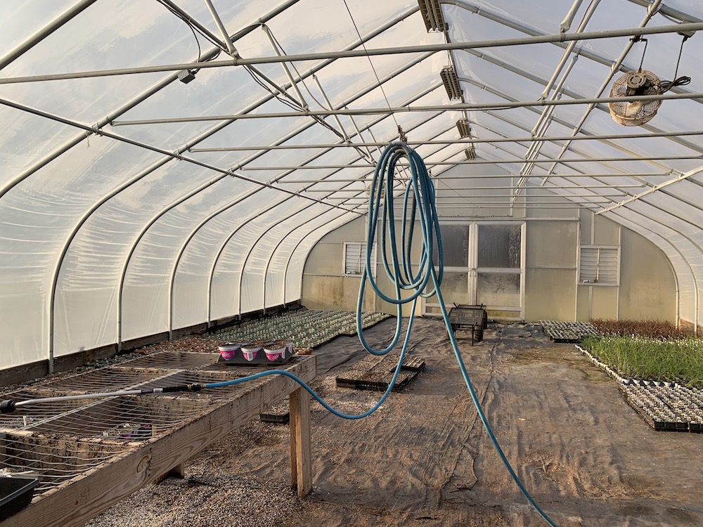 A hose hanging from frame of plastic greenhouse