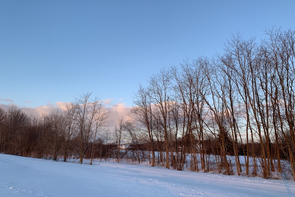 A weekend hike in a nearby New Jersey park allows me space to process the week and energy to start the next. (Maddie Thompson) Bare trees in the snow
