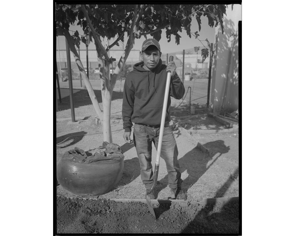 Jesus, another migrant who was expelled the previous night, helps install the garden at the Centro de Recursos. (Lisa Elmaleh)