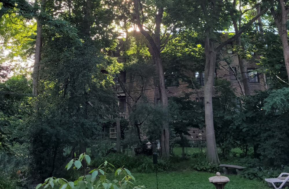 The author meditates in this backyard of her Chicago home. (Julia Walsh)