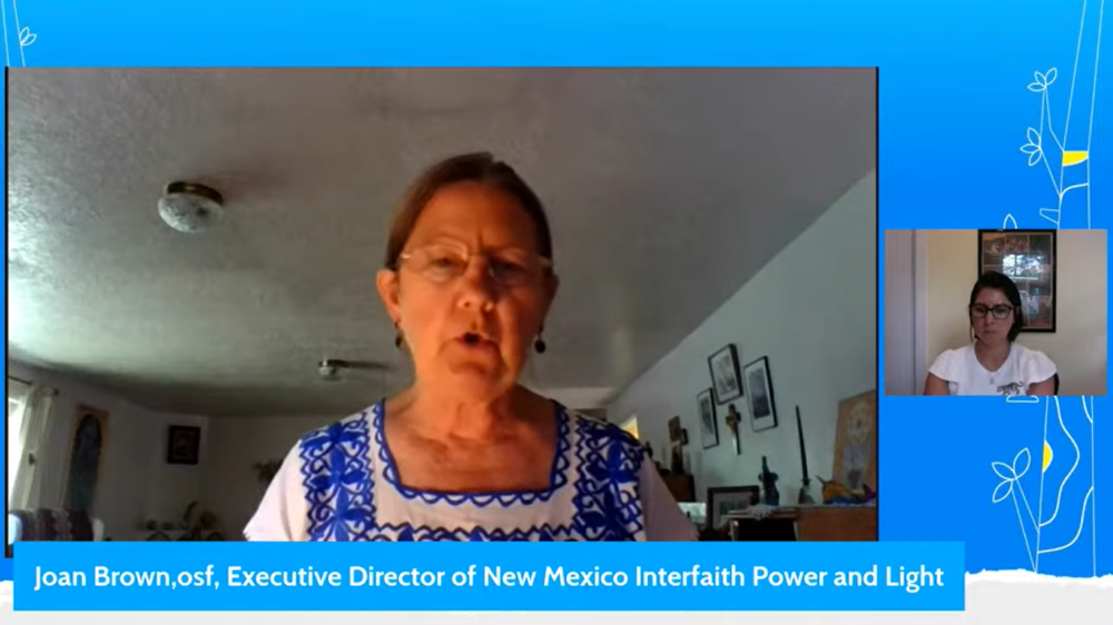 Rochester Franciscan Sr. Joan Brown speaks at a July 26 webinar on divestment from fossil fuels and mining hosted by the Laudato Si' Movement. (GSR screenshot)