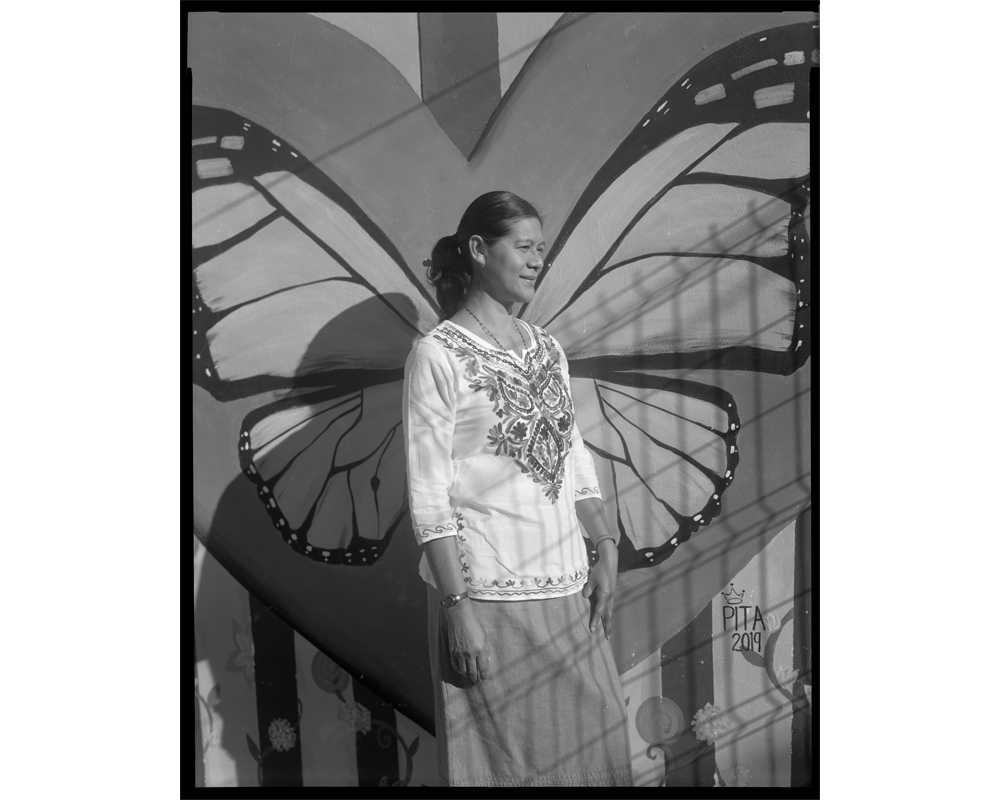 Missionary Sister of the Eucharist Maribel Lara Hernandez stands in front of the mural on the wall inside the migrant center depicting a monarch butterfly, a common symbol in Mexican culture as well as a tiny but fierce creature that migrates annually.