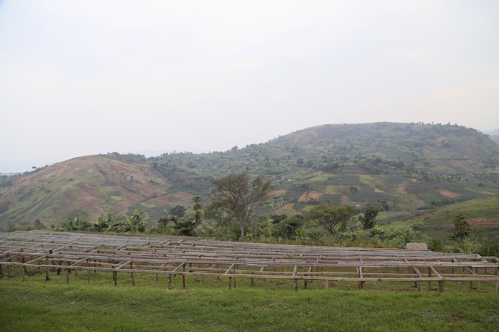 Farmland is seen in Mwanba, Congo, June 25, 2015. The Congo River basin spans six African countries where forests are cleared for subsistence agriculture, large-scale farming and illegal logging. (CNS/Courtesy of Catholic Relief Services/Michael Stulman)