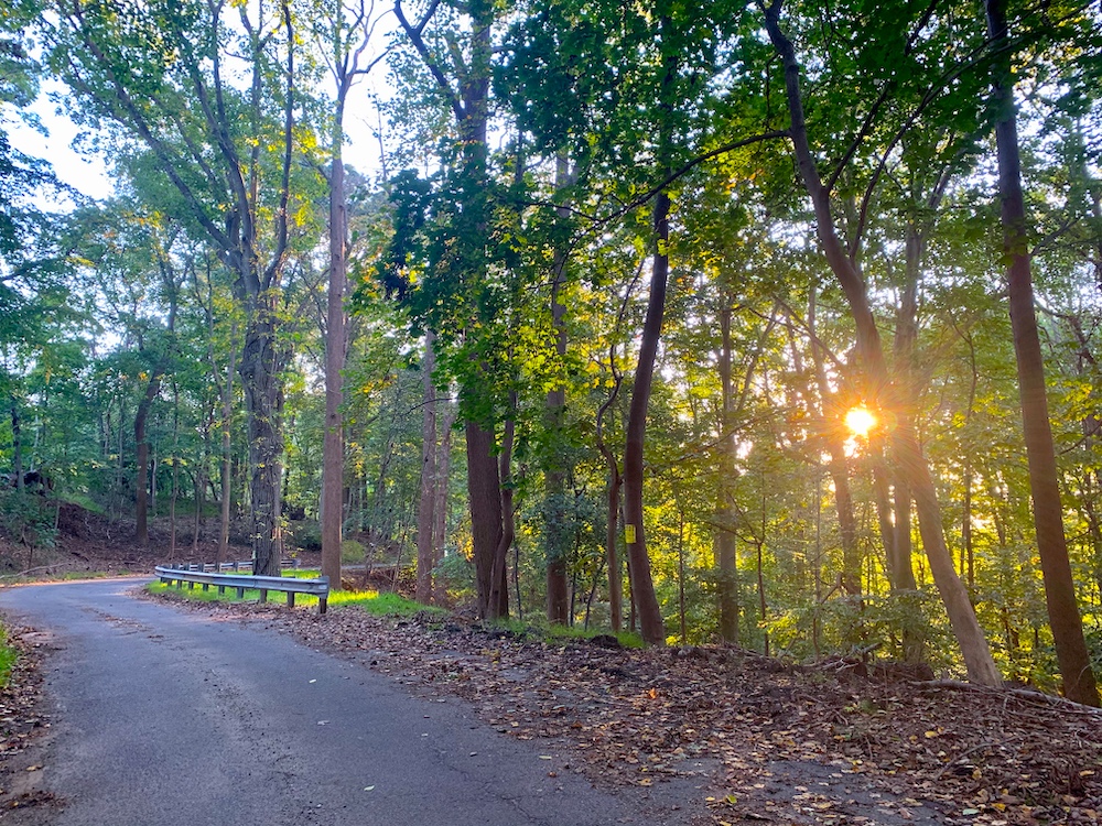 The winding road leading to the Collier High School campus in Wickatunk, New Jersey (Maddie Thompson)