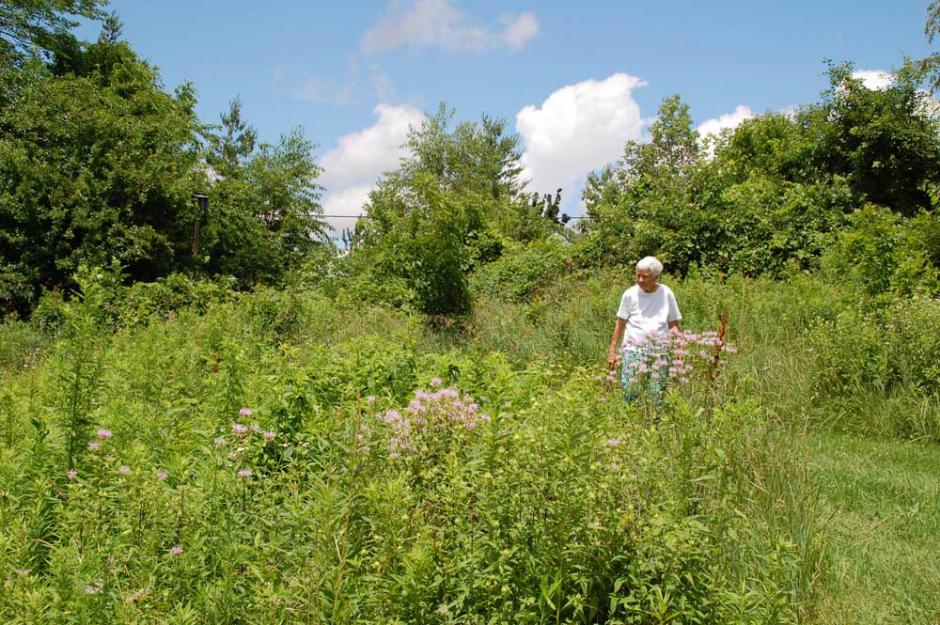 Adrian Dominican Sr. Carol Coston walks through the community's permaculture site, which is designed to put agriculture in harmony with nature.
