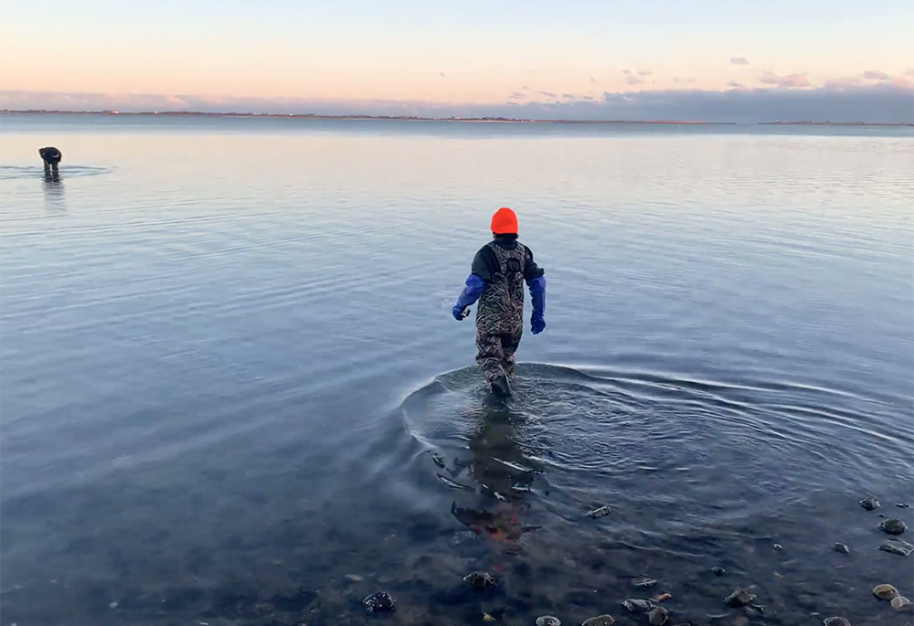  Danielle Munnannock Hopson Begun and Toby Sheppard Bloch wade into the Shinnecock Bay to weed underwater kelp lines. (Courtesy of Brittany Koteles)