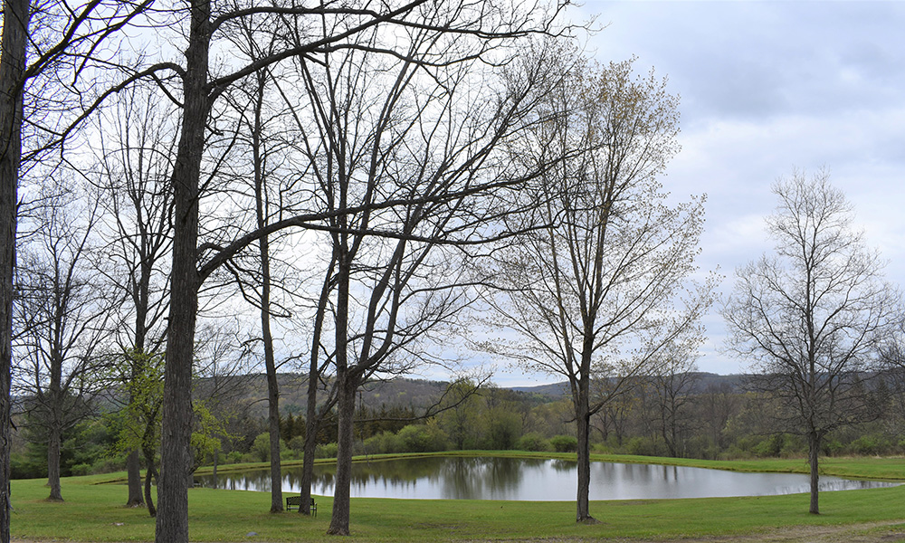 The pond at the Center for Solitude in Belmont, New York (Courtesy of the Sisters of Mercy)