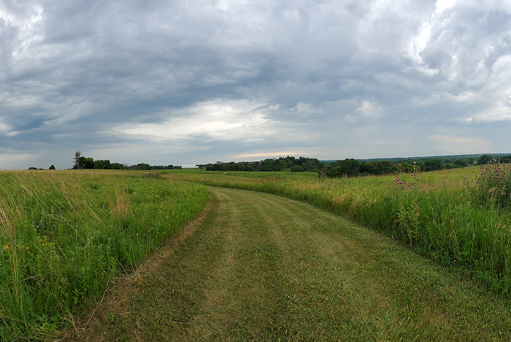 The restored prairieland conserved by the Sisters of St. Francis near Dubuque, Iowa The restored prairieland conserved by the Sisters of St. Francis near Dubuque, Iowa, includes land that was farmed by the first sisters to arrive in the area. (EarthBeat photo/Brian Roewe)