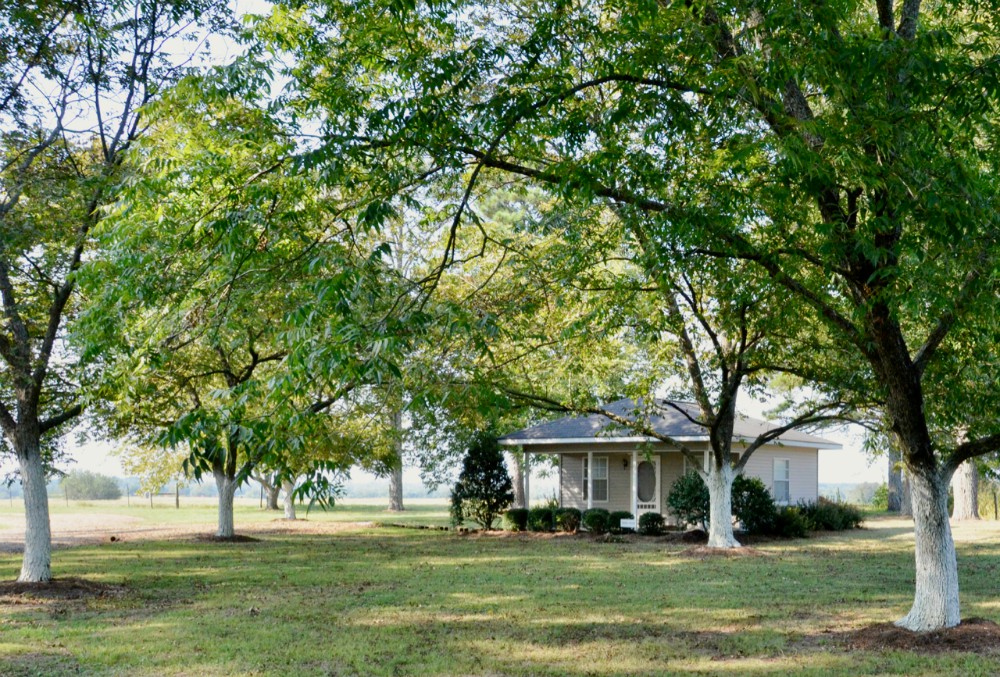 One of the hermitages that sit in the shade of pecan trees at the Dwelling Place retreat center in Brooksville, Mississippi. (GSR photo / Dan Stockman)