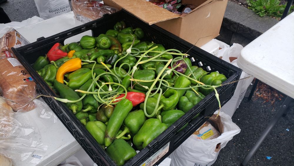 Vegetables ready to be packed for a weekend distribution at the First Presbyterian Church in Goshen, New York. The vegetables come from Harmony Farm, a ministry of the Sisters of Saint Dominic of Blauvelt, New York. (Chris Herlinger)