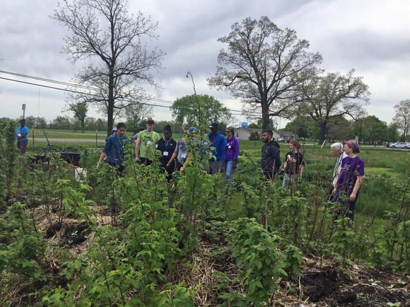 Students from Sienna Heights and Barry Universities work on hugel mounds in the Adrian Dominicans' permaculture gardens as part of the Environmental Leadership Education program.