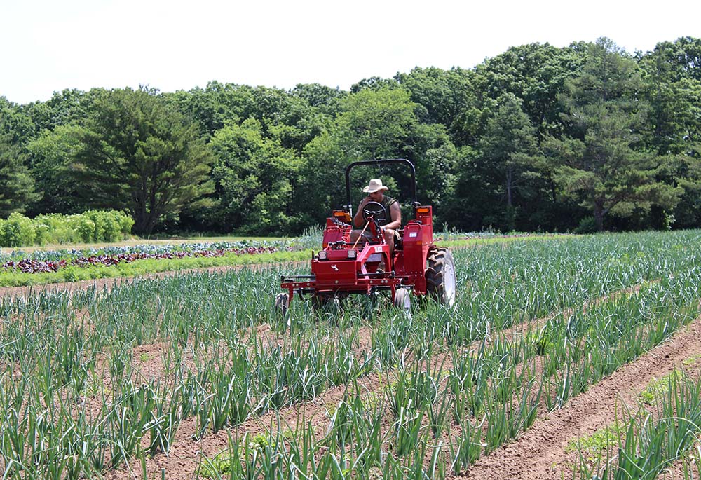 The 200-plus-acre campus of the Sisters of St Joseph, Brentwood, in Brentwood, New York, includes farmland, part of a working farm. (GSR photo/Chris Herlinger)