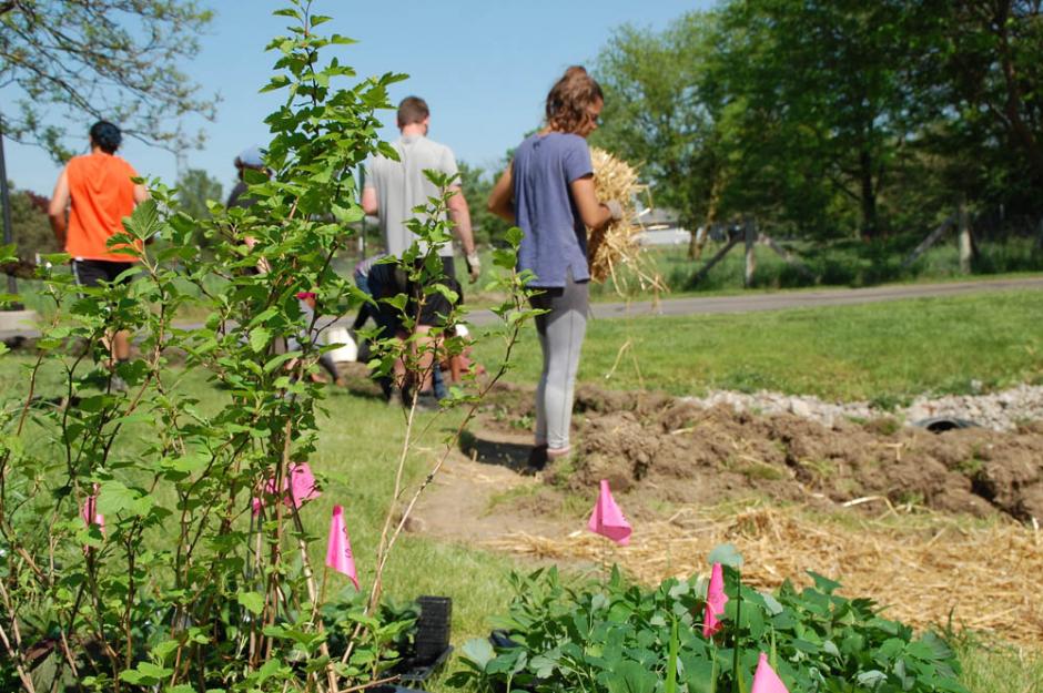 Students from Siena Heights and Barry Universities plant a rain garden in the Adrian Dominicans' permaculture gardens.