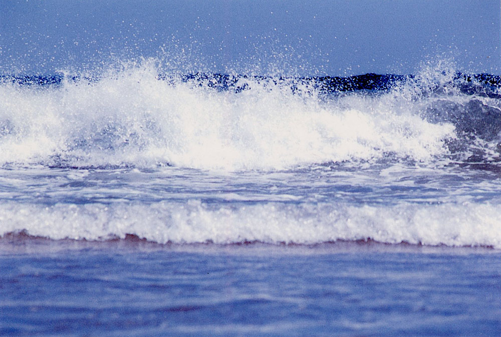 Ocean (Joan Sauro)