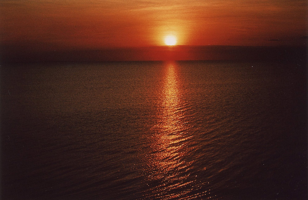 Sunset (Joan Sauro)