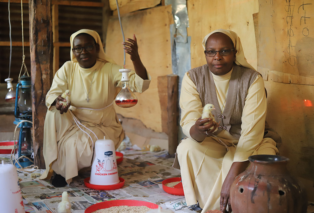 Srs. Florence Anaso (left) and Mary Atema of the Little Sisters of St. Francis of Assisi tend to baby chicks in Jinja, Uganda.