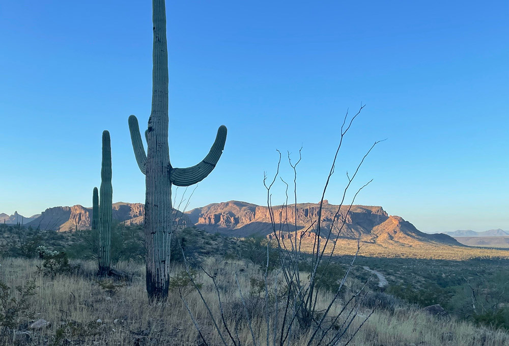 This view of the Sonoran Desert looks south toward Mexico from about 50 miles north of the border. (Peter Tran)