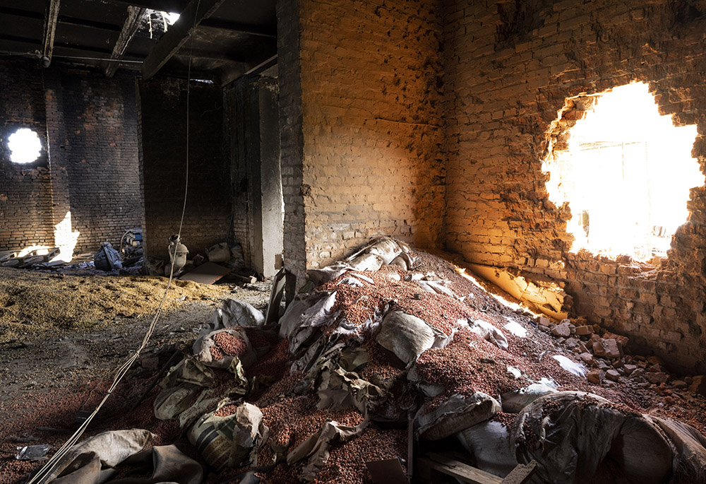 Scattered grain sits inside a warehouse damaged by Russian attacks in Cherkaska Lozova, outskirts of Kharkiv, eastern Ukraine, May 28. (AP photo/Bernat Armangue, File)