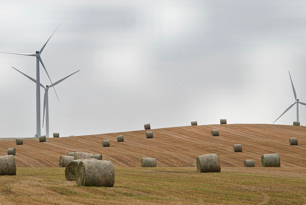 Wind turbines that are part of the Bison Wind Project west of Bismarck, North Dakota. (GSR photo/Dan Stockman)