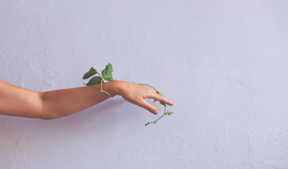 (Unsplash/Ava Sol) (Unsplash/Ava Sol)
