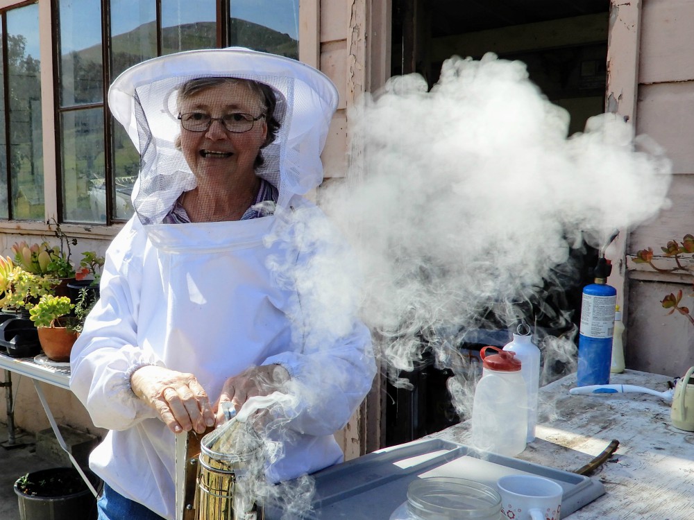 Sr. Barbara Hagel prepares the smoker, which calms the bees and allows beekeepers to safely access the hive. (Melanie Lidman) Sr. Barbara Hagel prepares the smoker, which calms the bees and allows beekeepers to safely access the hive. (Melanie Lidman)