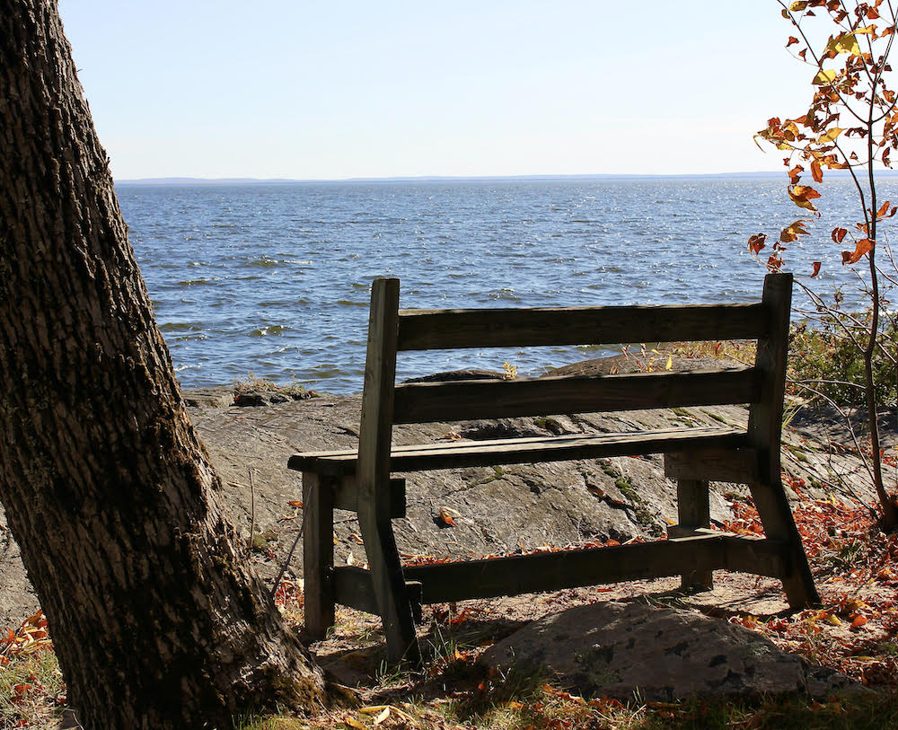 A bench by the sea (Stephanie Romiti)