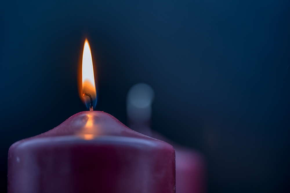 (Pixabay/Gabriele Lässer) (Pixabay/Gabriele Lässer)