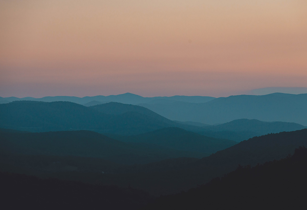 (Unsplash/Dave Herring) (Unsplash/Dave Herring)