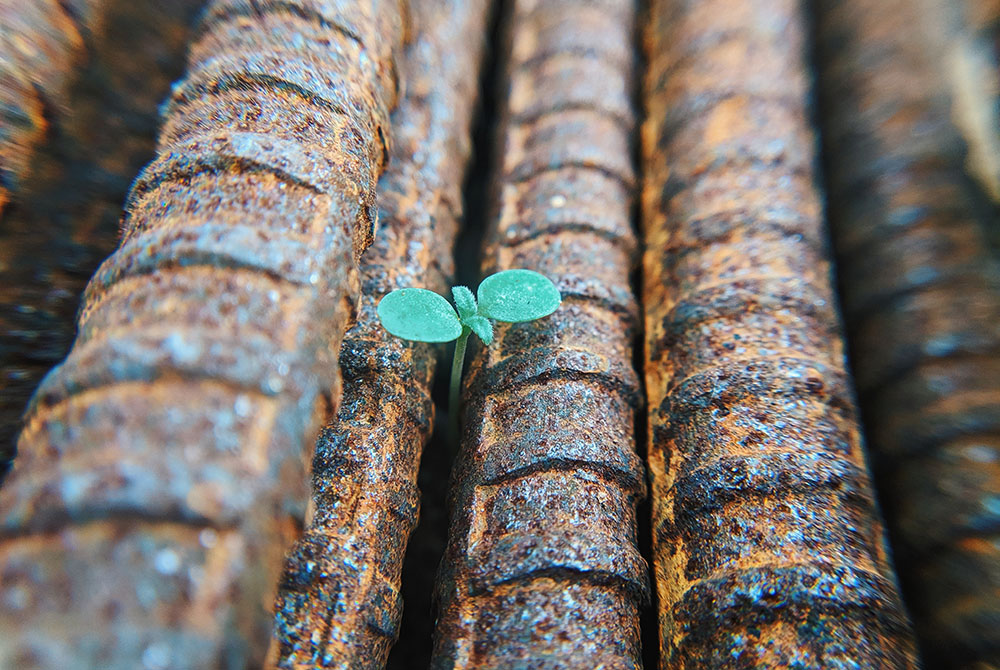 (Unsplash/Faris Mohammed) (Unsplash/Faris Mohammed)