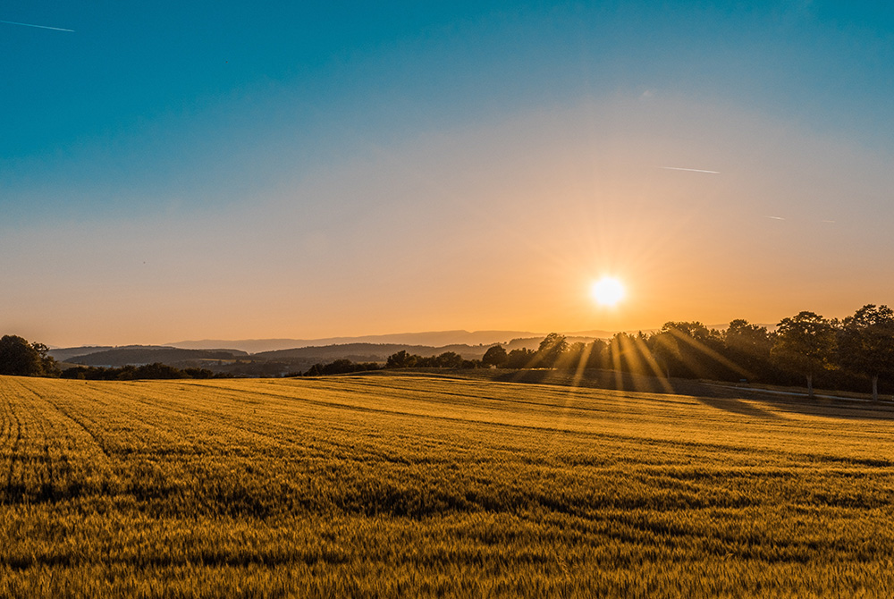 (Unsplash/Federico Respini) (Unsplash/Federico Respini)