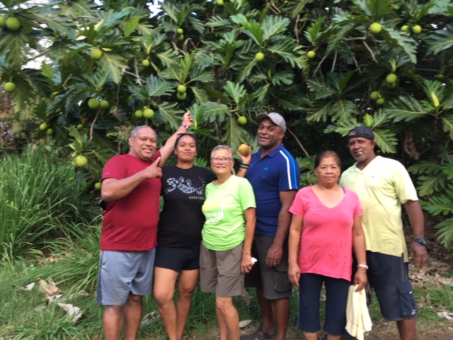 The Fiji Catholic group poses by the breadfruit tree, whose fruit can be boiled to eat like potato or made into chips. (Elizabeth Browne-Russell)