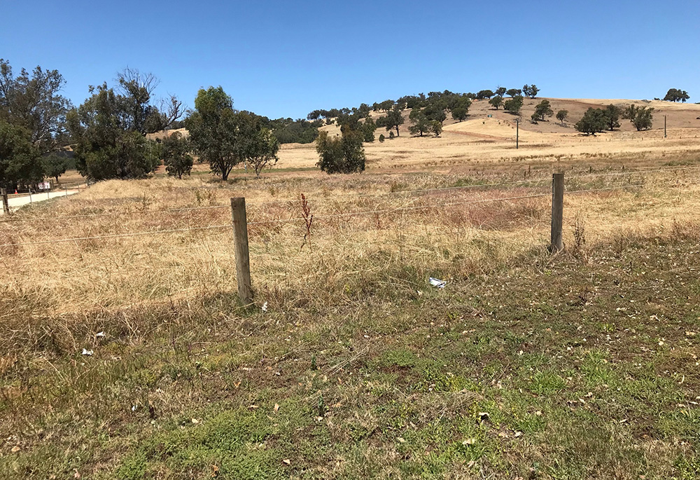 A dry flat area in Western Australia (Frances Hayes)