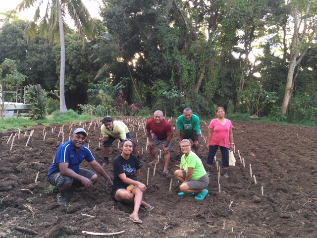 The Fiji Catholic group poses amid a field of tapioca roots they just planted on land in Cook Islands given by Sr. Elizabeth Browne-Russell's sister for growing food for the community. They put sweet potatoes in on the other side of the plot. (Elizabeth B The Fiji Catholic group poses amid a field of tapioca roots they just planted on land in Cook Islands given by Sr. Elizabeth Browne-Russell's sister for growing food for the community. They put sweet potatoes in on the other side of the plot. (Elizabeth B