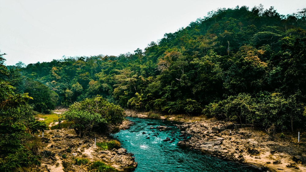 (Unsplash/Jaswanth Kalaga) (Unsplash/Jaswanth Kalaga)