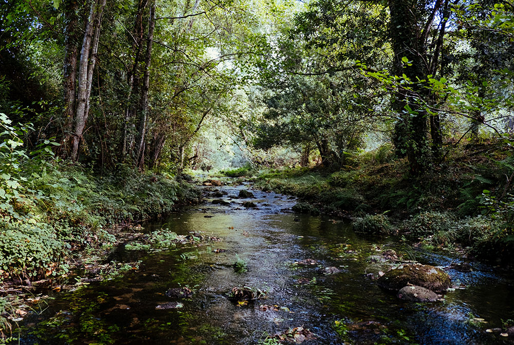 (Unsplash/Karim Sakhibgareev) (Unsplash/Karim Sakhibgareev)