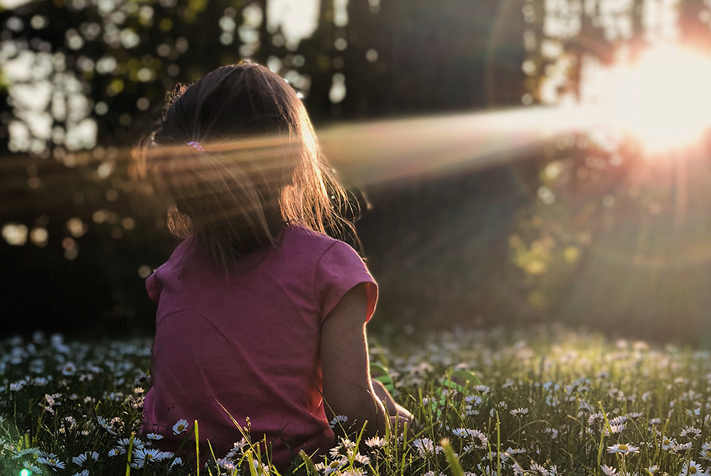 (Unsplash/Melissa Askew) (Unsplash/Melissa Askew)