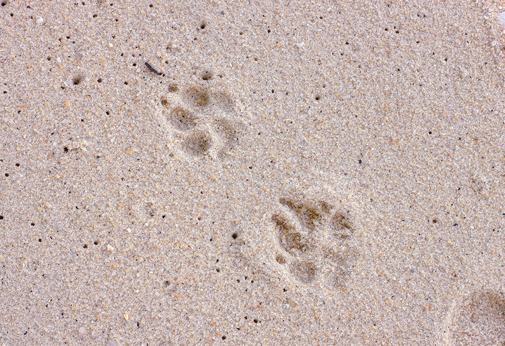 (Unsplash/Natasya Chen) (Unsplash/Natasya Chen)