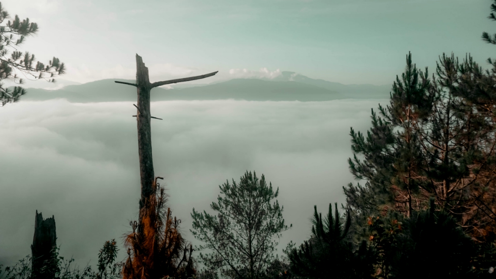 (Unsplash / Peniel Padre) (Unsplash / Peniel Padre)