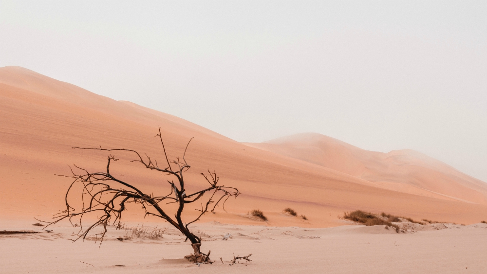 (Unsplash / Ryan Cheng) (Unsplash / Ryan Cheng)
