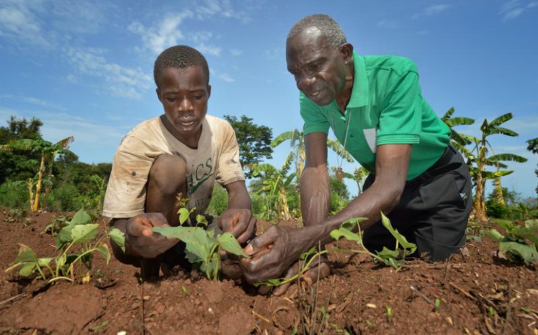 Nigerian Marist Brother Christian Mbam, right, talks with a farmer on a church-sponsored farm in Riimenze, South Sudan. Brother Mbam serves as a technical consultant to a religious-run agricultural project. (CNS/Paul Jeffrey)