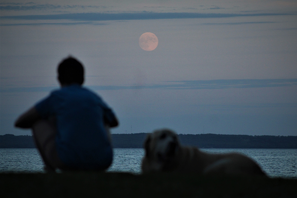 A woman and her dog are pictured under a moonrise July 15, near Lake Winnebago in Wisconsin. The 50th anniversary of the moon landing is July 20. (CNS/Brad Birkholz)