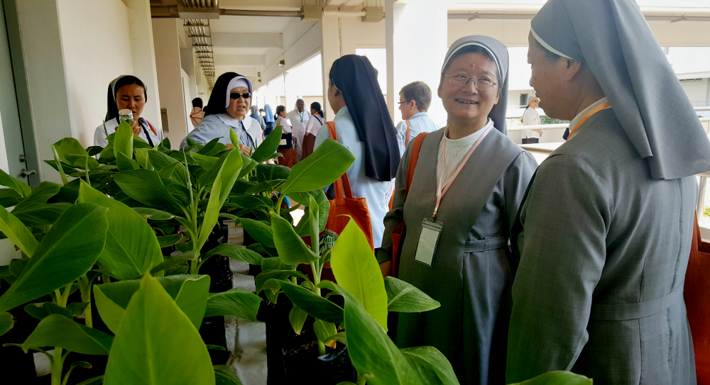Sr. Joanna Cheung, a Sister of St. Paul de Chartres in Hong Kong, and Sr. Florence Yi, a Sister of St. Paul de Chartres in Yangon, Myanmar, look over plants at the Vegetable and Fruit Research and Development Center in Yangon. (GSR photo / Gail DeGeorge)