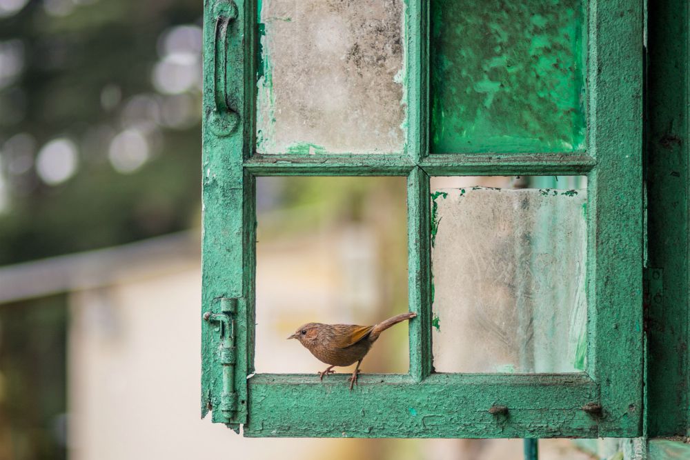 (Unsplash / Aditya Saxena)