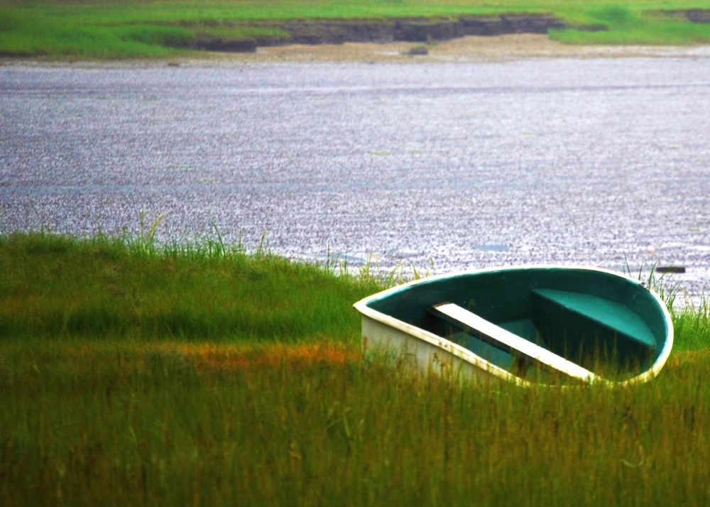 Beached. (Barbara Schwarz, OP, of the Sisters of St. Dominic of Amityville, N.Y.)